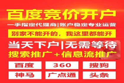 SEM托管实战：某电商平台的成功经验